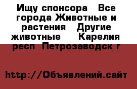 Ищу спонсора - Все города Животные и растения » Другие животные   . Карелия респ.,Петрозаводск г.